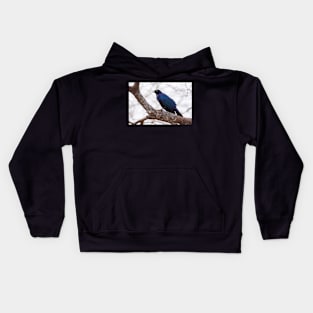 Ruppel's Long Tailed Starling Kids Hoodie